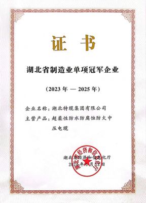 湖北省制造業(yè)單項(xiàng)冠軍企業(yè)