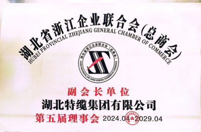 副會(huì)長(zhǎng)單位