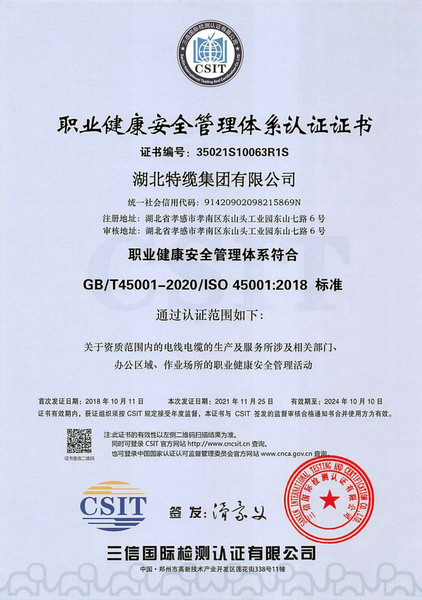 職業(yè)健康安全管理體系認證證書
